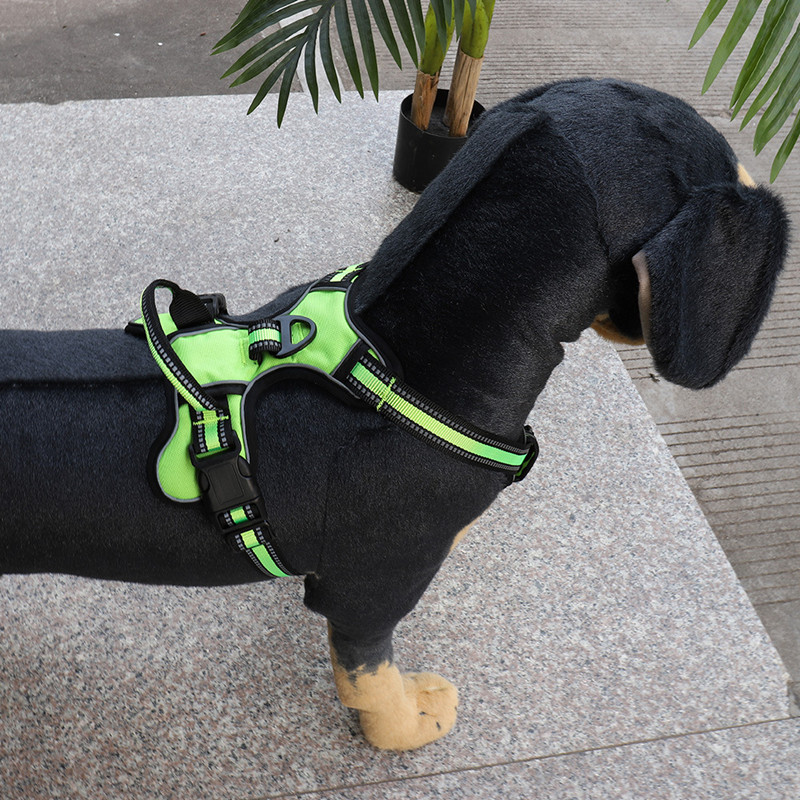 Guardian Paws™ Elite Reflective Pro-Harness