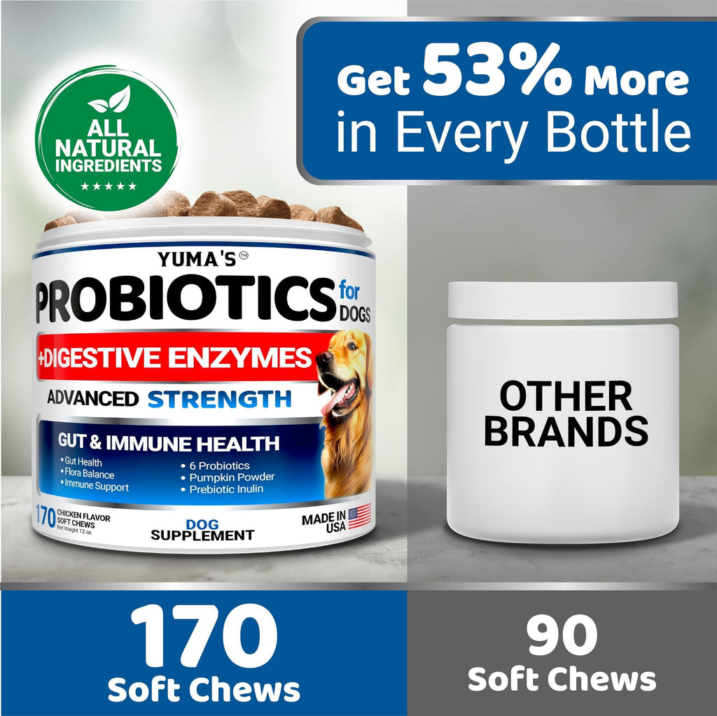 Guardian Paws™ Elite Digestive Enzymes: High-Potency Soft Chews