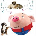 Guardian Paws™ Jiggle-Pig