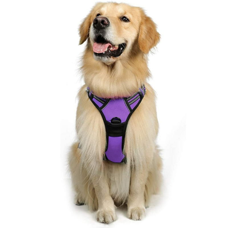 Guardian Paws™ Elite Reflective Pro-Harness