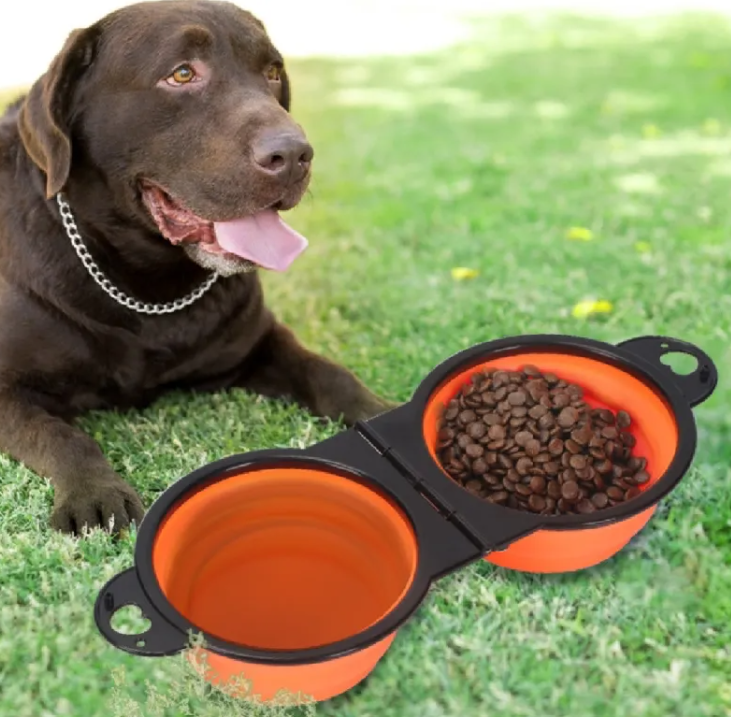 The TrailTrough™ Pro: Collapsible Outdoor Feeder
