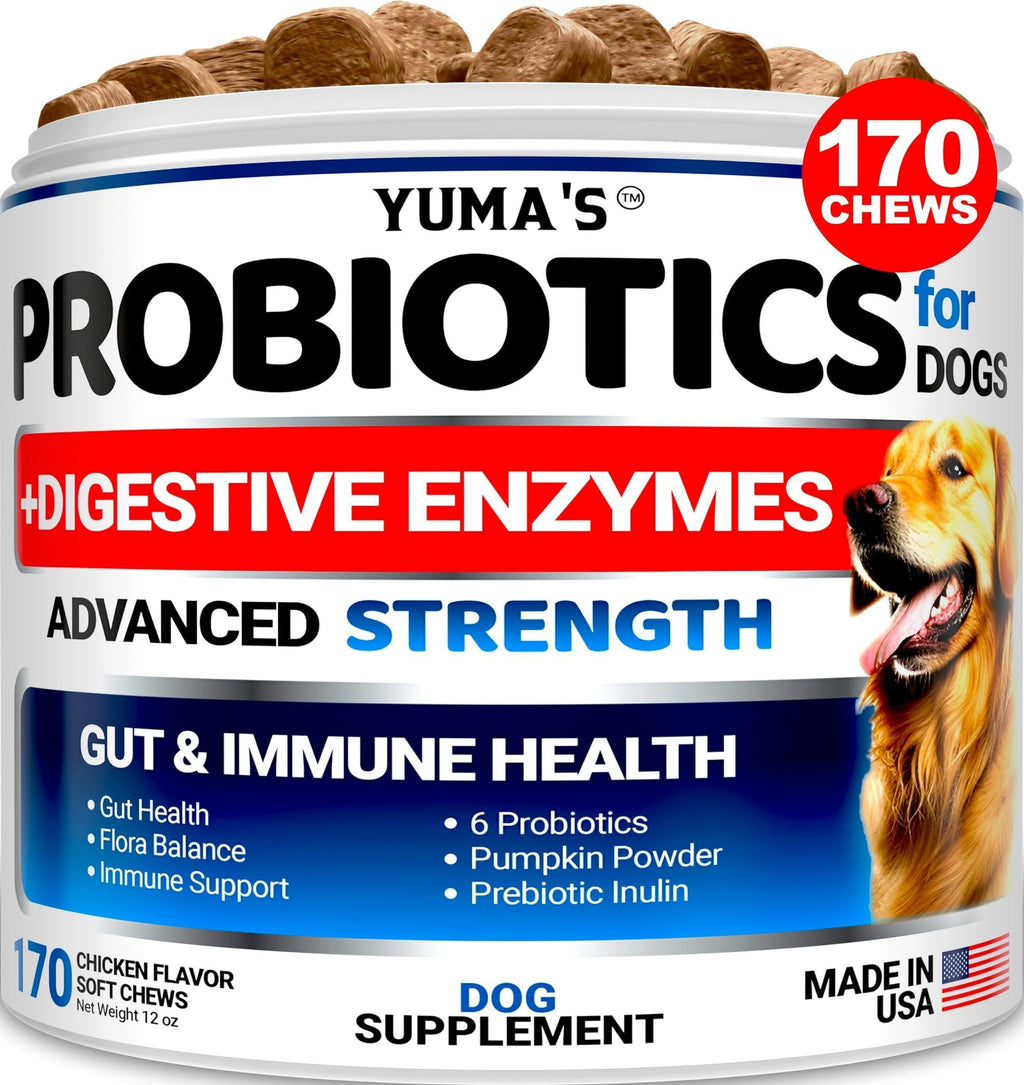 Guardian Paws™ Elite Digestive Enzymes: High-Potency Soft Chews