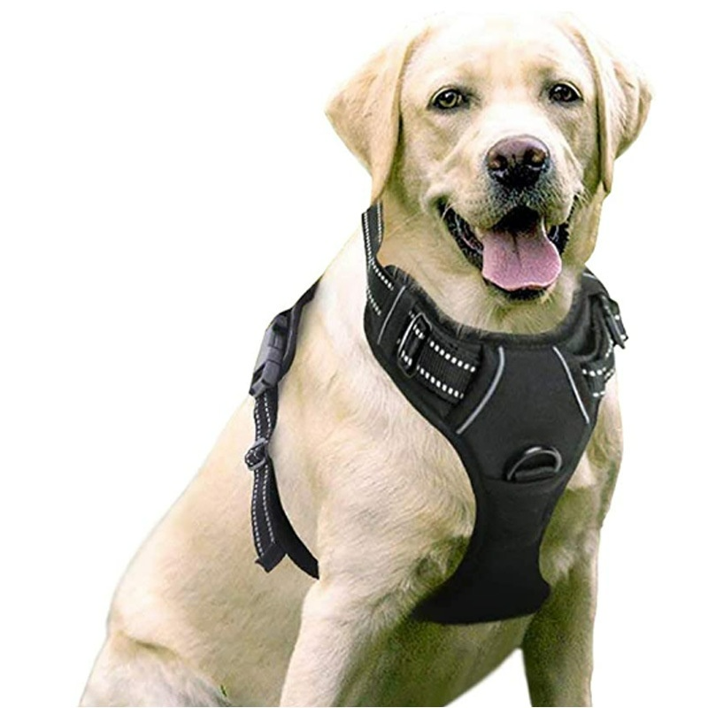 Guardian Paws™ Elite Reflective Pro-Harness
