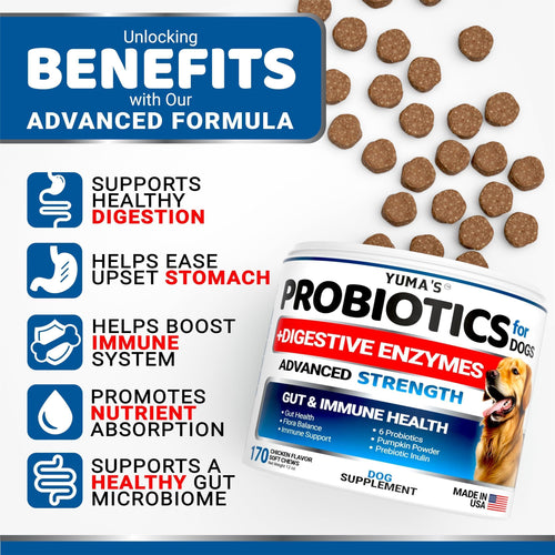 Guardian Paws™ Elite Digestive Enzymes: High-Potency Soft Chews