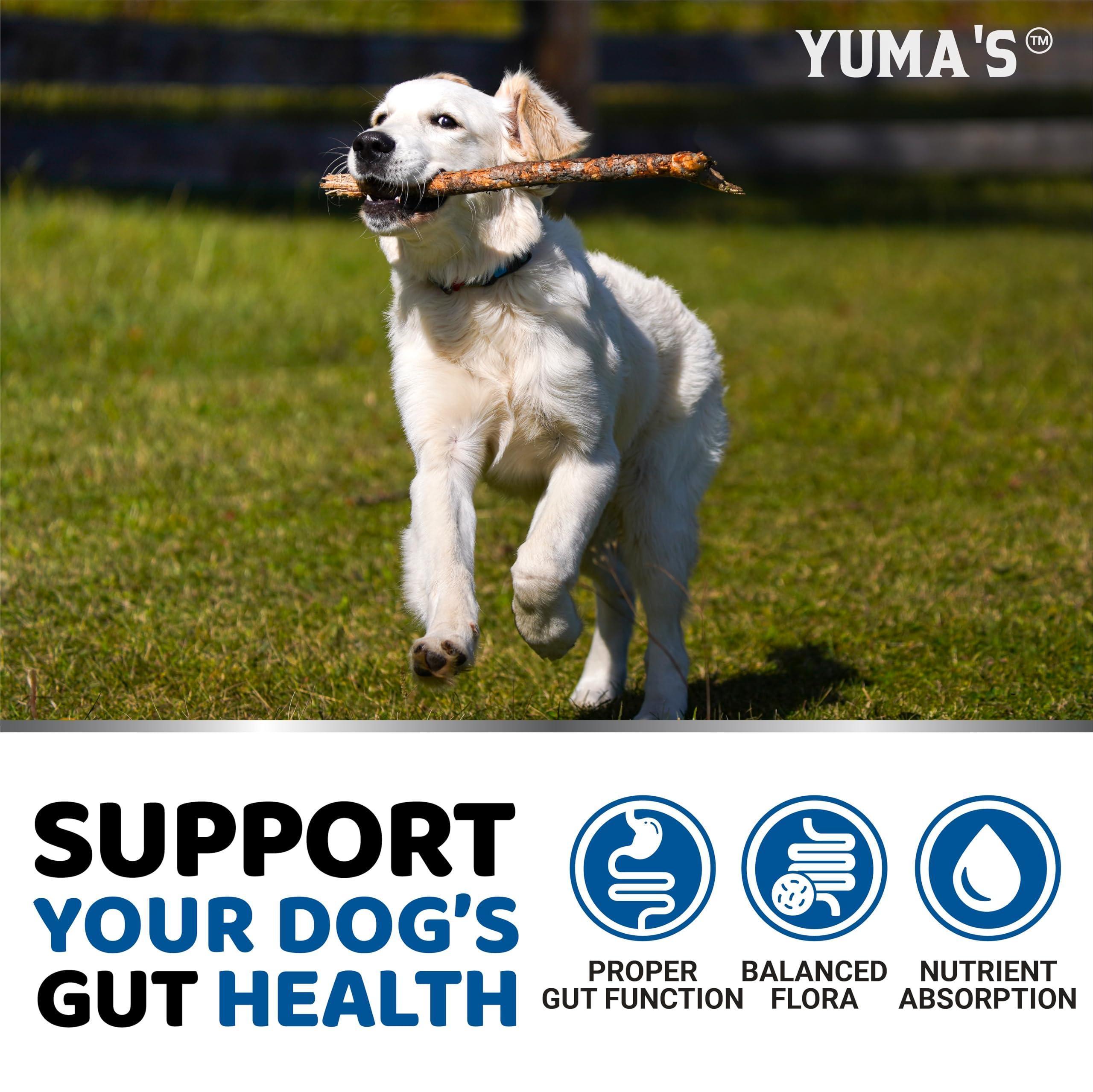 Guardian Paws™ Elite Digestive Enzymes: High-Potency Soft Chews